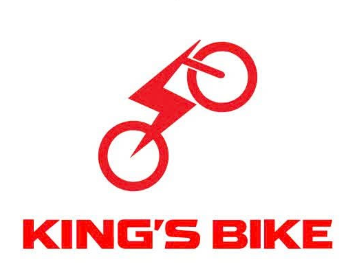 XE MÁY ĐIỆN KING’S BIKE