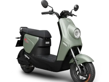 Xe Máy Điện Vinfast ZGoo 11 img pin
