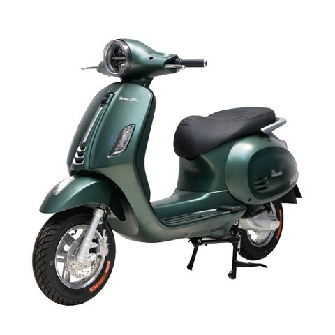 XE MÁY ĐIỆN ROMA LITE 11 xe may dien dk roma lite 24
