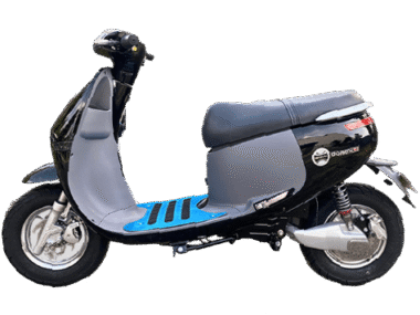 xe may dien gopath si den bong