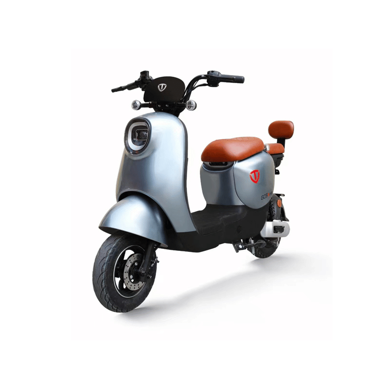 XE MÁY ĐIỆN TAILG DORIS 4 xe may dien tailg doris 6
