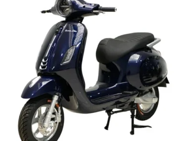 XE MÁY ĐIỆN ROMA LITE 8 z3734191462766 3b2c2c126214c0e8283b2bee65d2ea99