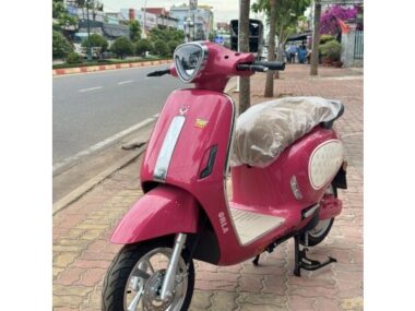 Xe Máy Điện Yadea Orla Lotso – Gấu Dâu 6 z497072948641997fbbd39b6f724eeeeb93388fef252fc 4367