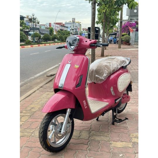 Xe Máy Điện Yadea Orla Lotso – Gấu Dâu 14 z497072948641997fbbd39b6f724eeeeb93388fef252fc 4367